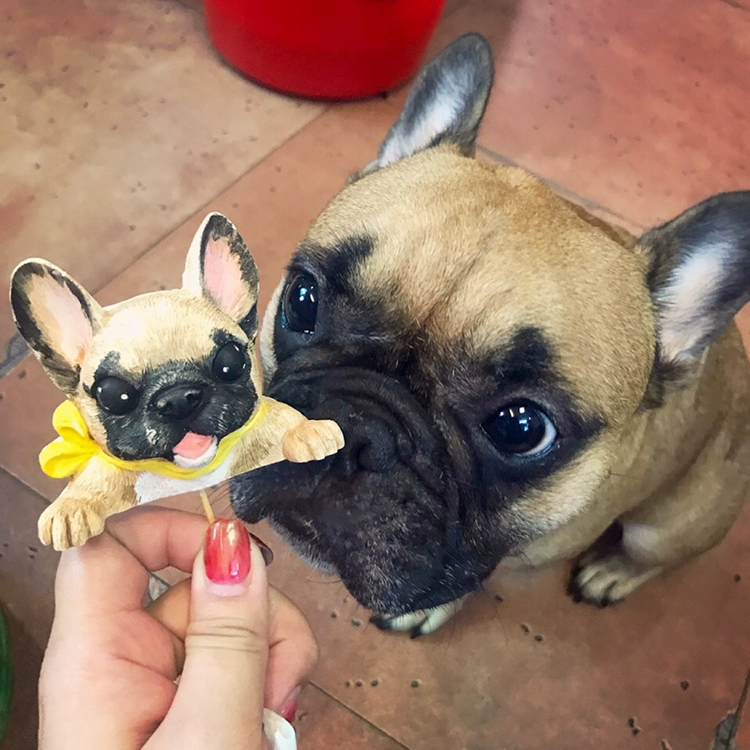 Pet Birthday Cake Topper | Pet Cake Topper | Dog Cake Topper | Cat Cake Topper | Gift